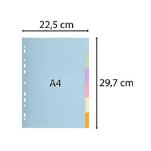Carica l'immagine nel visualizzatore di Gallery, Exacompta 1606E Cartón, Papel Multicolor 6pieza(s) - Divisor (Multicolor, Cartón, Papel, A4, 225 mm, 297 mm, 0,3 mm)