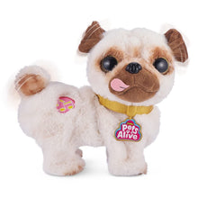 Carica l'immagine nel visualizzatore di Gallery, Pets Alive Poppy the Booty Shakin' Pug