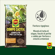 Carica l'immagine nel visualizzatore di Gallery, COMPO CACTEA Terriccio per Cactacee, Per una crescita omogenea delle piante, 5 l