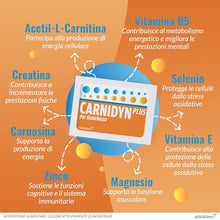 Carica l'immagine nel visualizzatore di Gallery, Carnidyn Plus Integratore Alimentare per Stanchezza Mentale e Fisica, 20 Bustine da 5g da Sciogliere in Acqua, Gusto Agrumi