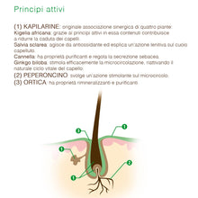 Carica l'immagine nel visualizzatore di Gallery, Keramine H Fiala Anticaduta per Capelli, 12 x 6ml