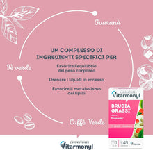 Carica l'immagine nel visualizzatore di Gallery, 45 x Capsule di integratore di Tè verde e Guaranà, Vitarmonyl Controllo del peso