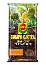 Carica l'immagine nel visualizzatore di Gallery, COMPO CACTEA Terriccio per Cactacee, Per una crescita omogenea delle piante, 5 l