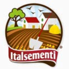 Carica l'immagine nel visualizzatore di Gallery, 3