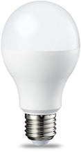 Carica l'immagine nel visualizzatore di Gallery, AmazonBasics Lampadina LED E27, 14W (equivalenti a 100W), Confezione da 2 - Ilgrandebazar