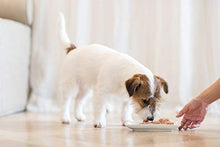 Carica l'immagine nel visualizzatore di Gallery, Schesir, Cibo Umido per Cani Cuccioli al Gusto Filetti di Pollo con Aloe...