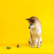 Carica l'immagine nel visualizzatore di Gallery, Sacchettini per Pupù Pogi - 30 Rotoli 30 (450 Sacchettini), Profumati