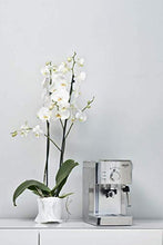 Carica l'immagine nel visualizzatore di Gallery, Gaggia Viva Prestige - Ilgrandebazar