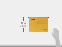 Carica l'immagine nel visualizzatore di Gallery, ESSELTE The Classic Collection - GRUPPO cartelle sospese per cassetti 330-V... - Ilgrandebazar