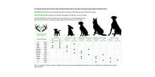 Carica l'immagine nel visualizzatore di Gallery, ARTISAN GIFT CO Corni di Cervo da Masticare 100% Naturali per Cuccioli e...