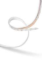 Carica l'immagine nel visualizzatore di Gallery, Philips Lighting LightStrip Plus 1 m (Estensione per Kit Base da 2 m) - Ilgrandebazar