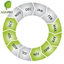 Carica l'immagine nel visualizzatore di Gallery, Maciste - Sementi per tappeto erboso - Ideale zone aride - 1 Kg 1 kg - Ilgrandebazar