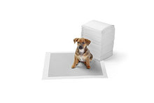 Carica l'immagine nel visualizzatore di Gallery, AmazonBasics - Tappetini igienici con carbone attivo per Misura standard - Ilgrandebazar