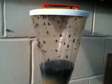 Carica l'immagine nel visualizzatore di Gallery, NOVA LAUS Fly Trap Red Top, Trappola per Mosche, Confezione da 2,...