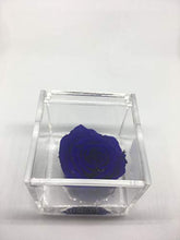 Carica l'immagine nel visualizzatore di Gallery, AA 1051 Cubo Rosa Stabilizzata Blu 5cm 5x5x5 profumata, Il con una Vera... - Ilgrandebazar