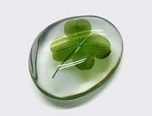 Carica l'immagine nel visualizzatore di Gallery, PROCHIMA FE034G320 E 30 Effetto Acqua A+B, Resina 320 GR, Trasparente