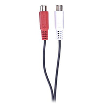 Carica l'immagine nel visualizzatore di Gallery, Lindy 35671 Prolunga Audio Stereo 2 x RCA Maschio/Femmina, 2m