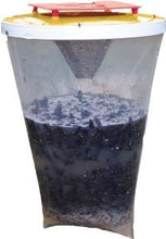 Carica l'immagine nel visualizzatore di Gallery, NOVA LAUS Fly Trap Red Top, Trappola per Mosche, Confezione da 2,...