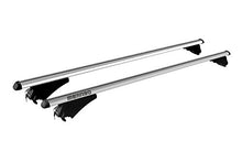 Carica l'immagine nel visualizzatore di Gallery, MENABO 000084900000 Tiger Silver, Argento, 120 cm, Set di 2 - Ilgrandebazar