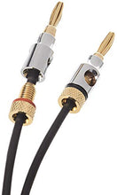 Carica l'immagine nel visualizzatore di Gallery, AmazonBasics - Cavo per altoparlanti con connettori a banana placcati 1,8 m - Ilgrandebazar