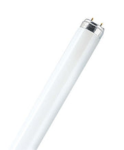 Carica l'immagine nel visualizzatore di Gallery, Osram L36W/865, leuchtstoffröhre, g13, lineare [Classe di efficienza... - Ilgrandebazar