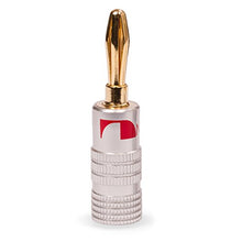 Carica l'immagine nel visualizzatore di Gallery, 8x High End Nakamichi Bananenstecker 8 Stück,