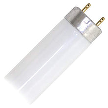 Carica l'immagine nel visualizzatore di Gallery, Osram Lumilux T8 G13 L 38 W/840 Lampada fluorescente - Ilgrandebazar