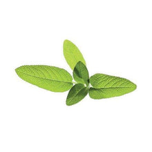 Carica l'immagine nel visualizzatore di Gallery, Click &amp; Grow Starter Pack Erbe Aromatiche - Set di 3 confezioni capsule... - Ilgrandebazar