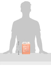 Carica l'immagine nel visualizzatore di Gallery, Groomers Peach And Albicocca Shampoo per Cani, 2,5 Litri