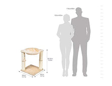 Carica l'immagine nel visualizzatore di Gallery, AmazonBasics - Albero per gatti con amaca e palo tiragraffi, 40,6 x Beige