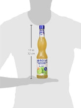 Carica l'immagine nel visualizzatore di Gallery, Fabbri Sciroppo Lime 560ml