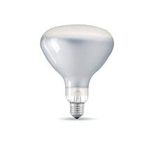 Carica l'immagine nel visualizzatore di Gallery, Lampadina LED E27 R125 11W 230V 2700K 750 lm Dimmerabile Frosted per Flos...