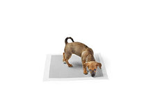 Carica l'immagine nel visualizzatore di Gallery, AmazonBasics - Tappetini igienici con carbone attivo per Misura standard - Ilgrandebazar