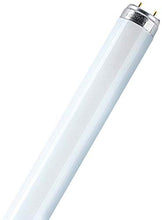 Carica l'immagine nel visualizzatore di Gallery, Osram Lumilux T8 G13 L 38 W/840 Lampada fluorescente - Ilgrandebazar