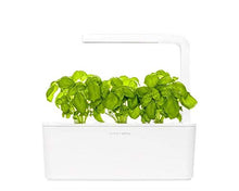 Carica l'immagine nel visualizzatore di Gallery, Click &amp; Grow Starter Pack Erbe Aromatiche - Set di 3 confezioni capsule... - Ilgrandebazar