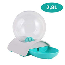 Carica l'immagine nel visualizzatore di Gallery, Petmii Dispenser per Acqua di Gatto, Potabile 2.8L...