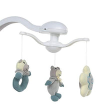 Carica l'immagine nel visualizzatore di Gallery, Foppapedretti Carillon Sdraietta Altalena, Teddy