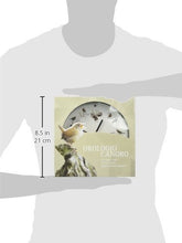 Carica l'immagine nel visualizzatore di Gallery, Delitone 6104025 Orologio Canoro Piccolo - Ilgrandebazar