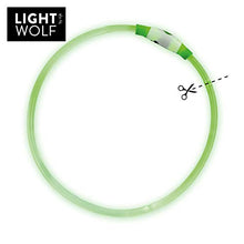 Carica l'immagine nel visualizzatore di Gallery, Riijk, collare luminoso a LED per cani e gatti, resistente alla pioggia Verde