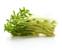 Carica l'immagine nel visualizzatore di Gallery, Natures Root Semi Germinazione Pisello Biologico - Superfood | No OGM | 500g - Ilgrandebazar