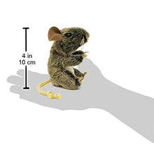 Carica l'immagine nel visualizzatore di Gallery, Folkmanis 2652 - Pupazzo da Dita Topo di Campagna beige - Ilgrandebazar
