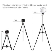 Carica l'immagine nel visualizzatore di Gallery, Rainbow Selfie RingLight 14RGB Colori 8"RGB Ring Light, Light