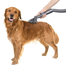 Carica l'immagine nel visualizzatore di Gallery, AIEVE Spazzola per cani da sposo di ricambio Dyson V11 V10 V8...