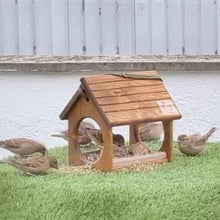 Carica l'immagine nel visualizzatore di Gallery, Mangiatoie per uccelli SPARROW
