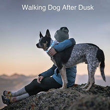 Carica l'immagine nel visualizzatore di Gallery, kolpop Collare Luminoso per Cani, LED Cani blu - Ilgrandebazar