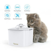 Carica l'immagine nel visualizzatore di Gallery, DADYPET Fontanella per Gatti, Fontana Distributore di Acqua per...