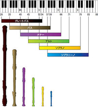 Carica l'immagine nel visualizzatore di Gallery, Yamaha YRS301III Flauto Dolce, Soprano in Do, Nero - Ilgrandebazar