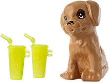 Carica l'immagine nel visualizzatore di Gallery, Barbie-e Ken Playset con Due Bambole, Cagnolino e Accessori, Giocattolo per... - Ilgrandebazar