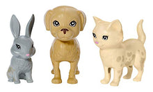 Carica l'immagine nel visualizzatore di Gallery, Barbie Cambia, Playset con Bambola e Due Cuccioli Che Cambiano Colore con... - Ilgrandebazar