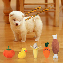 Carica l'immagine nel visualizzatore di Gallery, Angelland Giochi per Cani, da Bottiglia Frutta e Verdura con Combinazione di... - Ilgrandebazar